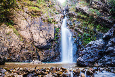 Scenic view of waterfall in forest