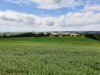Scenic view of field against sky