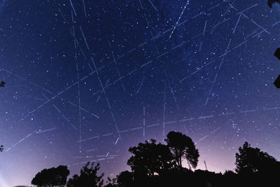 Low angle view of silhouette trees against sky at night