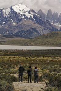 Rear view of people walking on snowcapped mountain