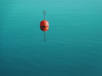 High angle view of red floating on water