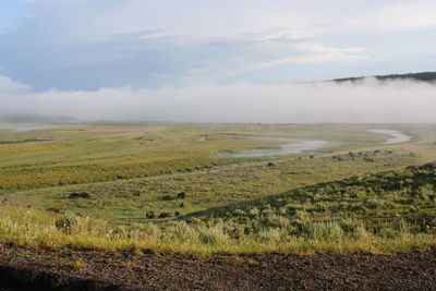 Scenic view of agricultural landscape against sky