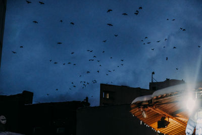 Low angle view of birds flying against sky