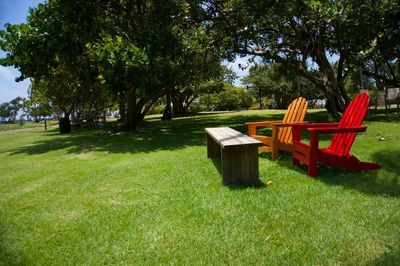 Empty bench in park