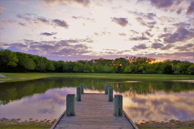 Reflection of trees in lake