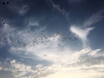 Low angle view of birds flying against sky