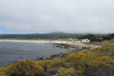 Scenic view of beach by sea against sky