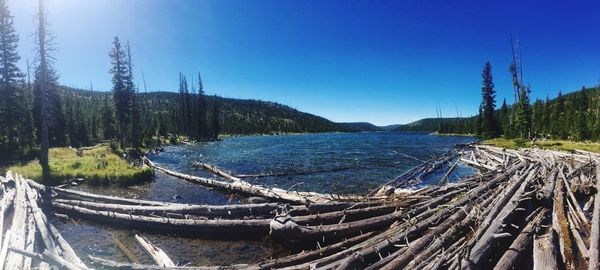 Panoramic view of landscape against clear blue sky