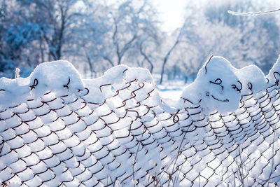 Fence covered in snow during winter