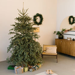 Vintage interior of a living room with a christmas tree in a house or apartment