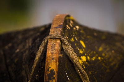 Close-up of wood