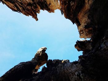 Low angle view of rock formation against sky