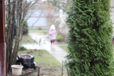 Rear view of woman walking on footpath