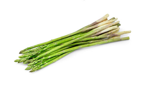 High angle view of green leaf on white background