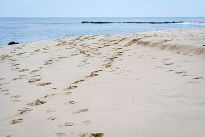 Scenic view of beach against clear sky