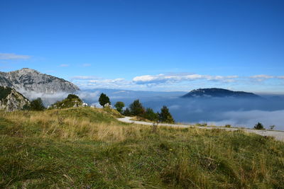 Scenic view of field against blue sky