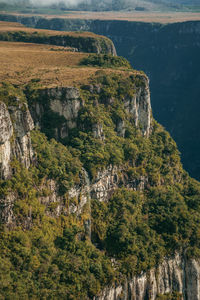 Fortaleza canyon with steep rocky cliffs covered by forest near cambará do sul. brazil.