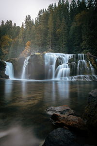 Waterfall in forest