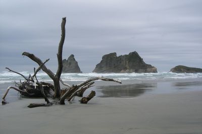 Scenic view of beach against sky