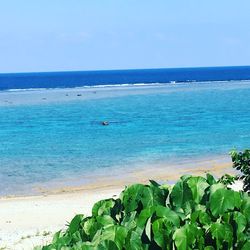 Scenic view of sea against clear blue sky