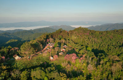 Aerial view of doi mae taman, san pa kia. mountains sea of mist, doi mae taman, san pa kia. 