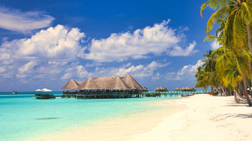 Beautiful coral reef sea of the maldives in the indian ocean