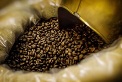 Close-up of coffee beans