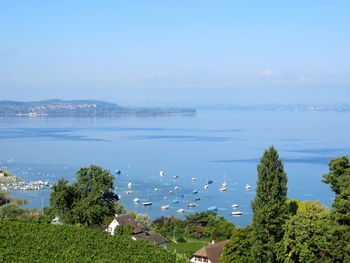 High angle view of sea and trees against sky