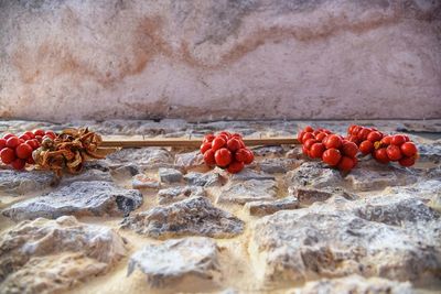 Close-up of red berries