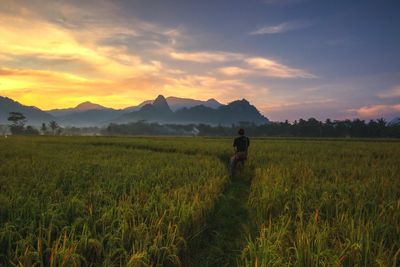 Man standing on field against sky during sunset