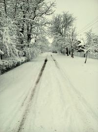 Road amidst bare trees on snow covered landscape