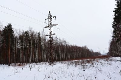Trees on snow covered field against sky