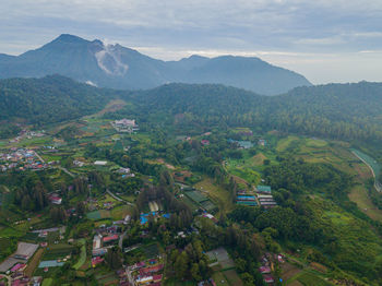 environment
