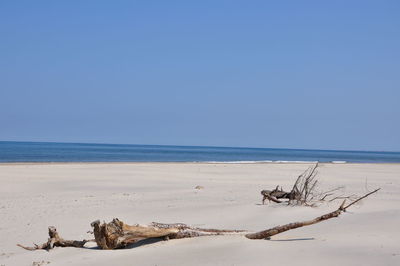 Scenic view of beach against clear blue sky