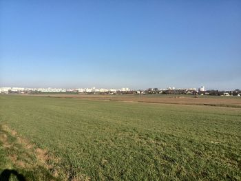 Scenic view of grassy field against clear blue sky