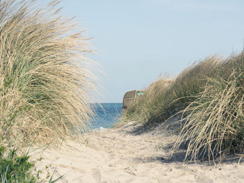 Scenic view of sea against clear sky