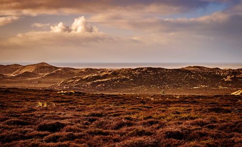 Scenic view of desert against sky