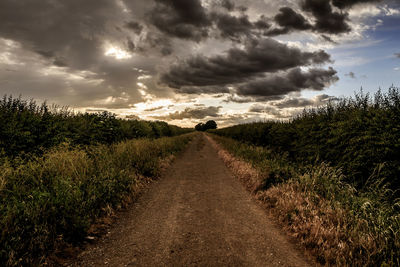 Road amidst trees on field against sky