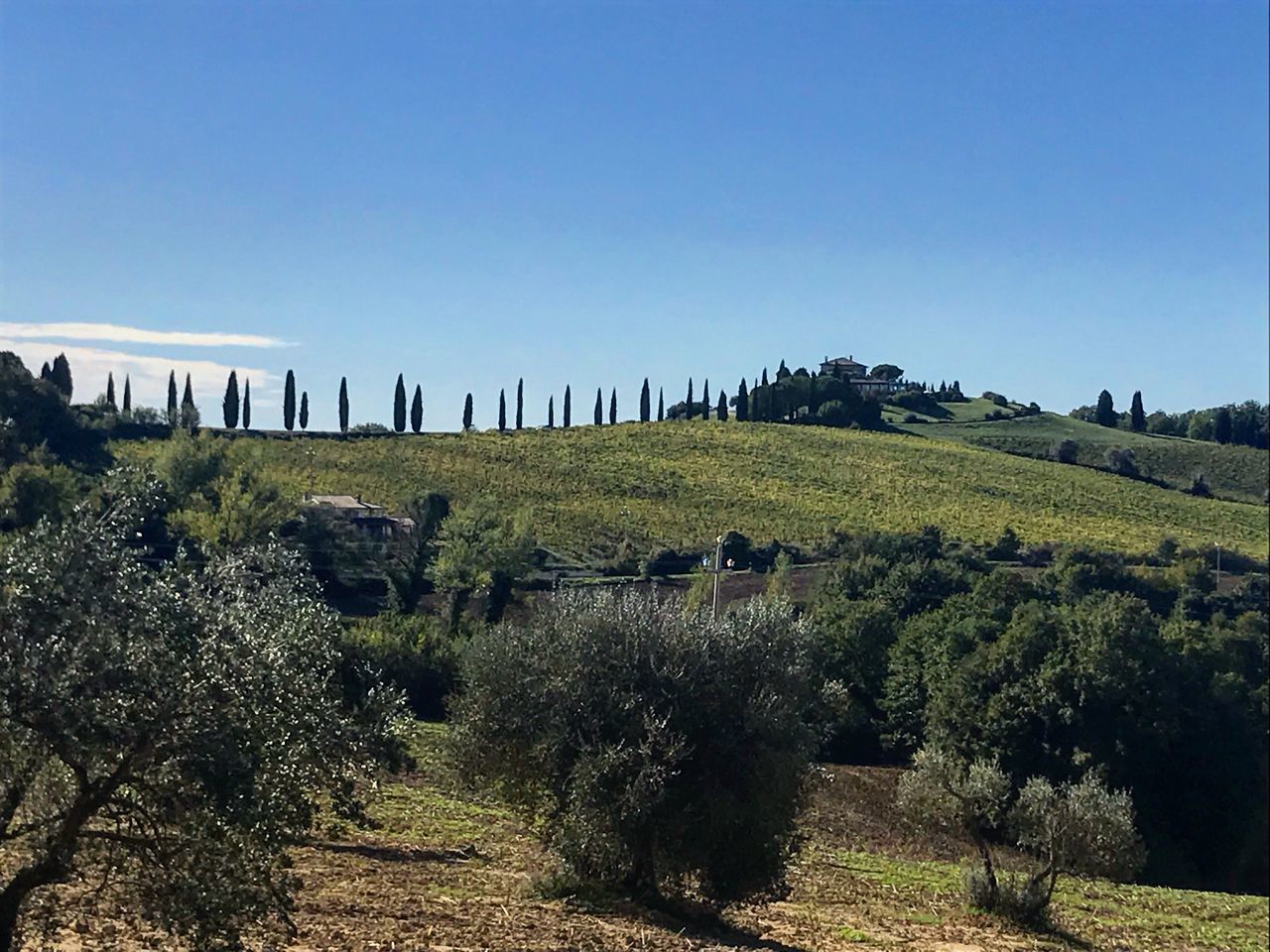 Cantina Franco Todini