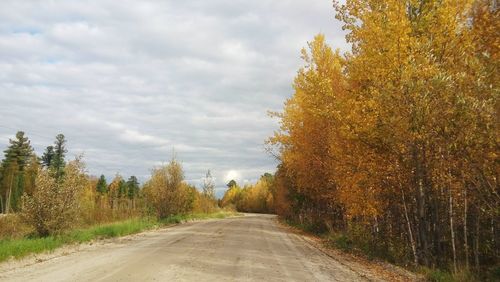 Road amidst trees against sky during autumn