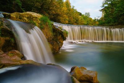 Scenic view of waterfall in forest