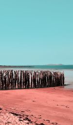 Scenic view of beach against clear sky