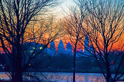 Bare trees against sky at sunset