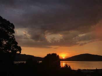 Silhouette trees by sea against sky during sunset