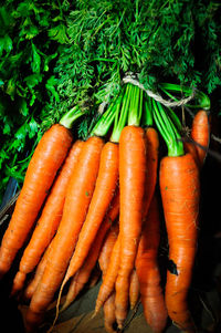 Close-up of vegetables