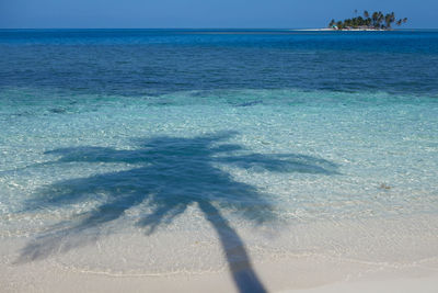 Shadow of palm tree on beach water