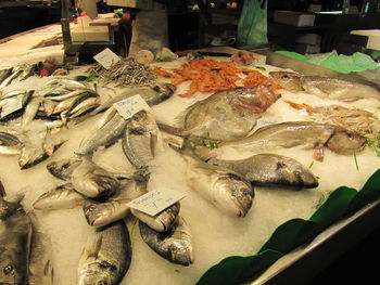 Close-up of seafood in market