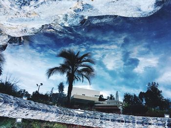 Palm trees on beach against sky