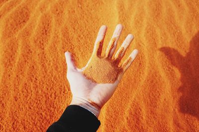 Cropped hand of woman holding sand at beach