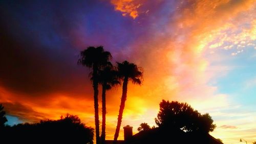 Silhouette of palm trees against cloudy sky